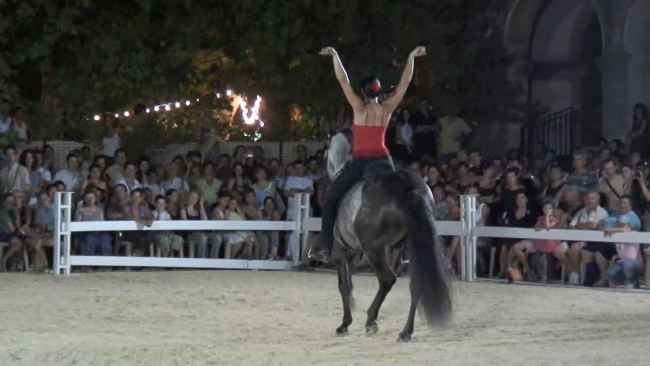 Jenny - Beaucaire Championnat de France des Lusitaniens 2006 