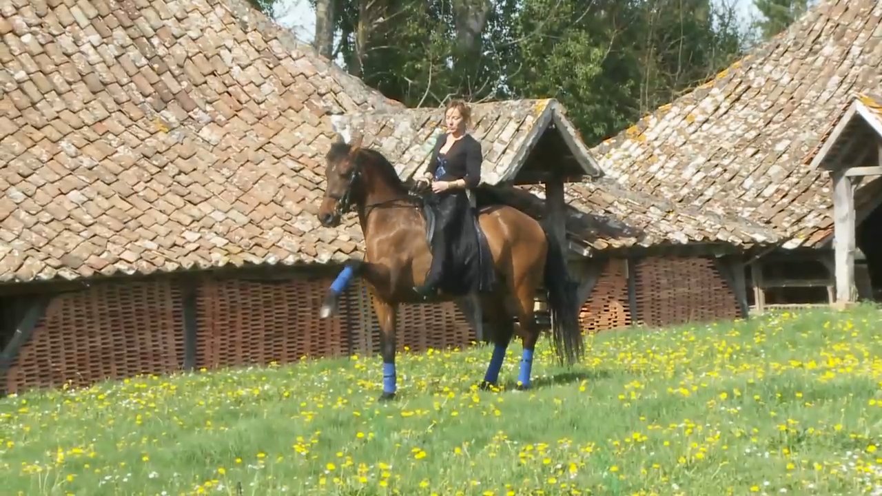 Christelle - fuerza para vivir 